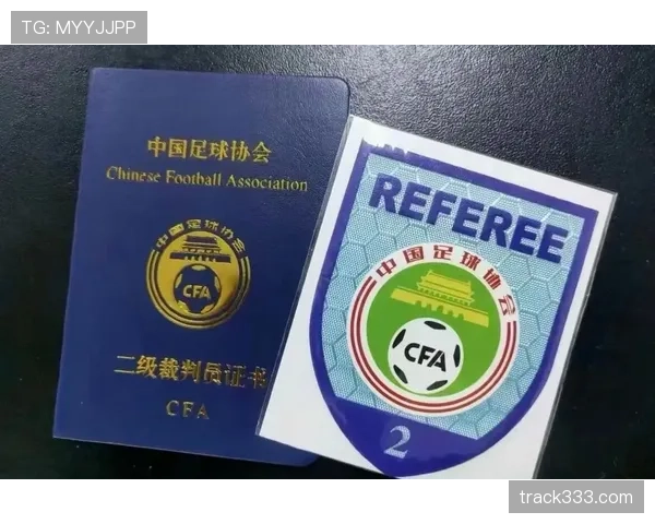 裁判报告在足球比赛中如何反映判罚细节与规则执行标准? 裁判报告在足球比赛中如何反映判罚细节与规则执行标准?
